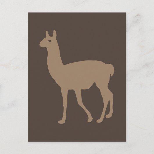 Llama Briefkaart (Voorkant)