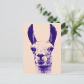 Llama-Briefkaart Briefkaart (Staand voorkant)