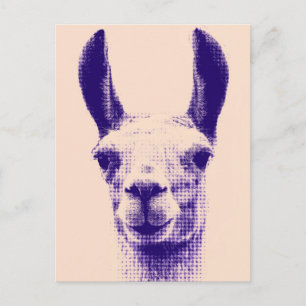 Llama-Briefkaart Briefkaart