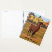 Llama Brown dans les pâturages agricoles d'automne (Devant avec enveloppe)