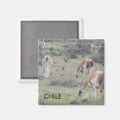 Llama Chile Magnet (Recto/Verso)