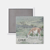 Llama Chile Magnet (Recto/Verso)