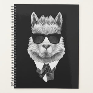 Llama classique