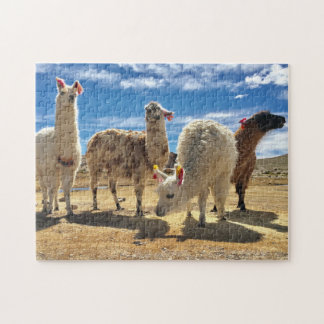 Llama Crew Legpuzzel