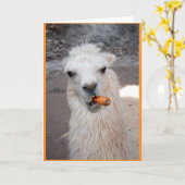 Llama die wortel eet. kaart (Gele Bloem)