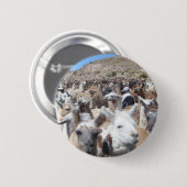Llama Disco Ronde Button 5,7 Cm (Voorkant /achterkant)