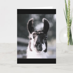 Llama Ears Kaart