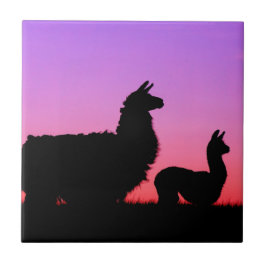 Llama en cria silhouette tegeltje