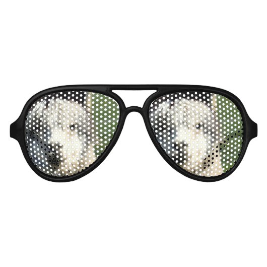 Llama Face Aviator Zonnebril (Voorkant)