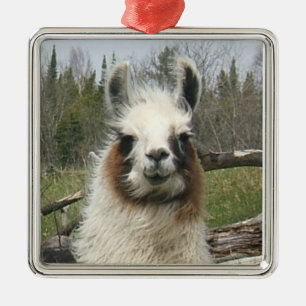 LLAMA FACE METALEN ORNAMENT