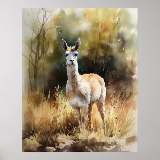 Llama Farm Animal Art Imprimer Poster (Devant)