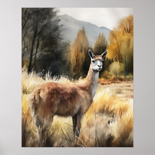 Llama Farm Animal Art Imprimer Poster (Devant)