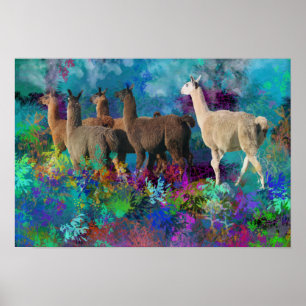 Llama Five Walk in Fantasy Land voor Camelids Poster