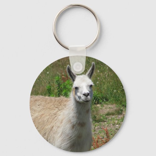 Llama-foto Sleutelhanger (Voorkant)