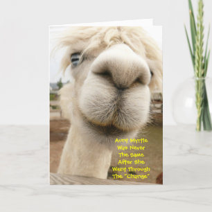 Llama Funny Birthday Card Kaart