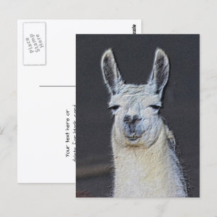 Llama Gezicht Dier Kunst Persoonlijk Briefkaart