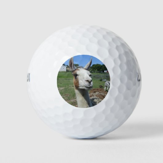 Llama Golfballen (Voorkant)