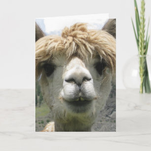 LLAMA IK LAAT JE WENSKAARTEN VERLIEZEN KAART