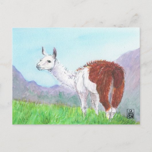 Llama in de Andes Briefkaart (Voorkant)