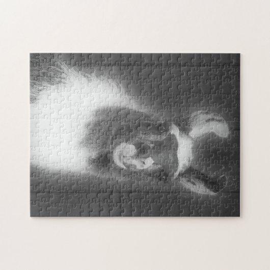 Llama in het zwarte en het witte dier legpuzzel (Horizontaal)