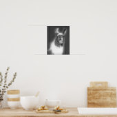 Llama in het zwarte en het witte dier poster (Keuken)