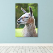 Llama Ingepakt Canvas Print (Insitu (Houten vloer))