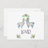 Llama is verliefd briefkaart (Voorkant / Achterkant)