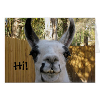 Llama-kaart...