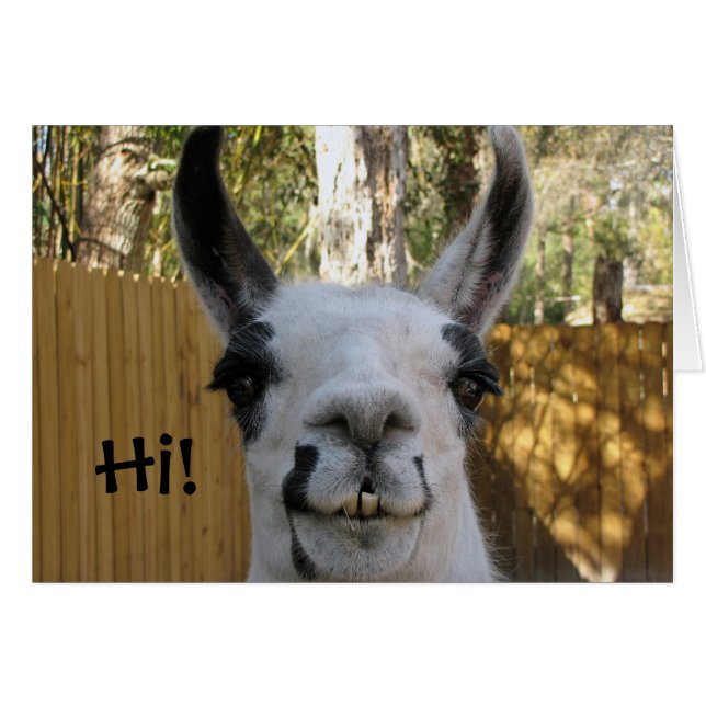 Llama-kaart... (Voorkant Horizontaal)