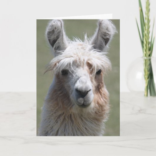 Llama Kaart (Voorkant)