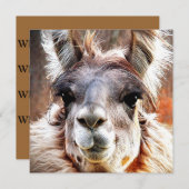 Llama Kaart (Voorkant / Achterkant)