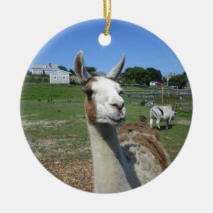 Llama Keramisch Ornament