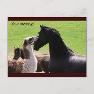 Llama kiss Briefkaarten