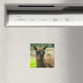 Llama Magneet (Insitu (Vaatwasser))