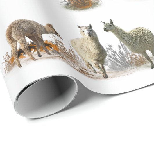 Llama Meadow Wrapping Papier (kies kleur) (Rol Hoek)