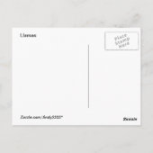 Llama Melange ~ carte postale (Dos)