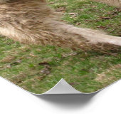 Llama Melange ~ print (Hoek)