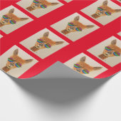 LLAMA MET RAINBOW SUNGLASSEN BIRTHDAY CADEAUPAPIER (Hoek)