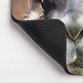 Llama Muismat (Hoek)