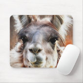 Llama Muismat (Met muis)