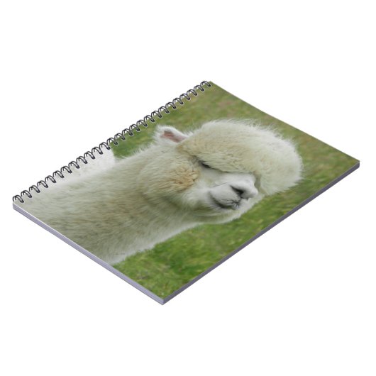 Llama Notitieboek (Linkerzijde)