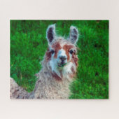 Llama op een Boerderij, Jigzaag Puzzle Legpuzzel (Horizontaal)