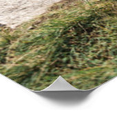 Llama Overzien Ruins | Machu Picchu, Peru Poster (Hoek)