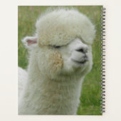 Llama Planner (Achterkant)