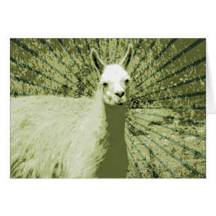 Llama Pop Art