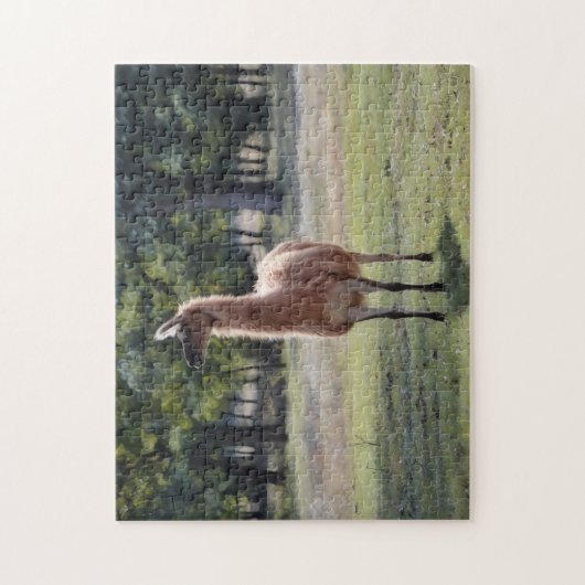 Llama Poser Animal Nature Puzzle (Vertical)