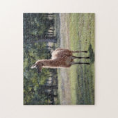 Llama Poser Dierlijke Natuur Puzzel (Verticaal)