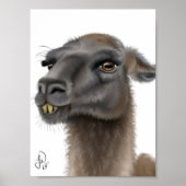 Llama Poster (Voorkant)