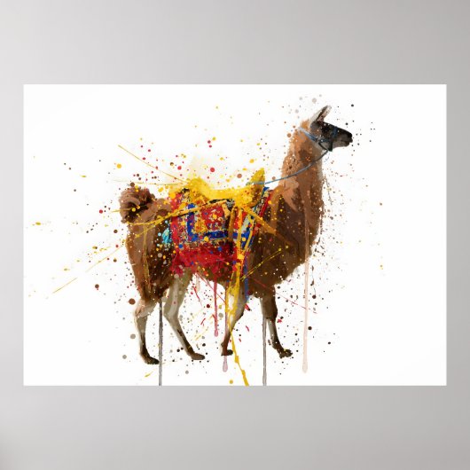 Llama Poster (Voorkant)