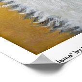 Llama-Poster Poster (Hoek)